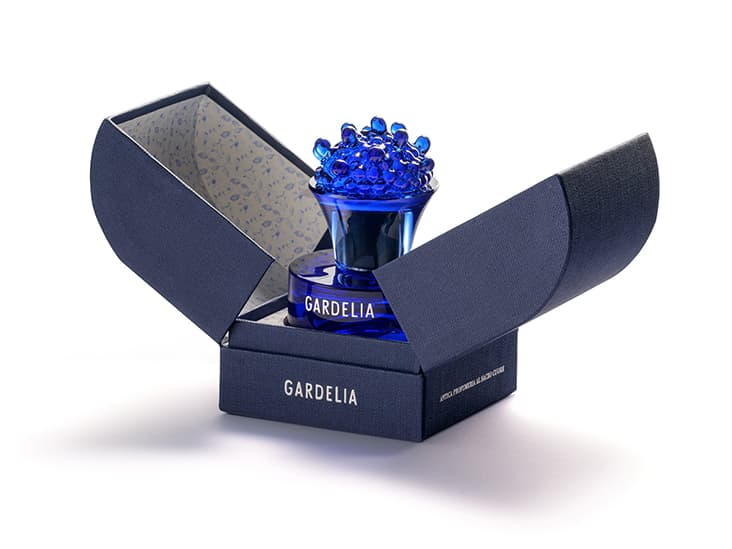 Gardelia (2025)