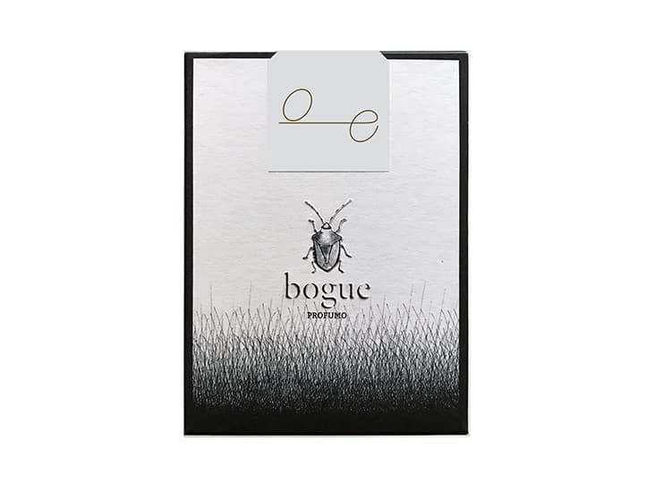 Bogue O/E viet nam