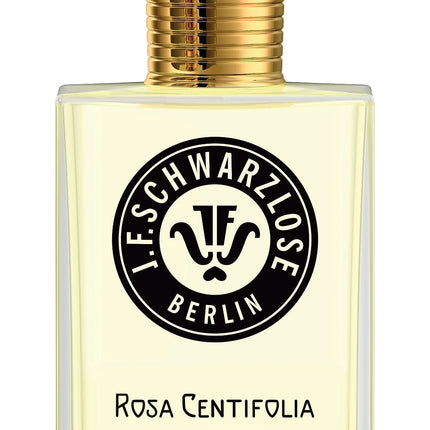 ROSA CENTIFOLIA