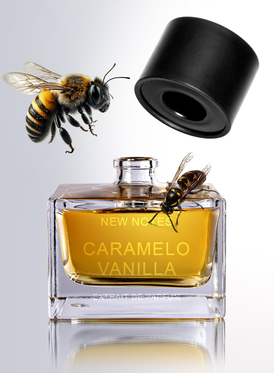 Caramelo Vanilla