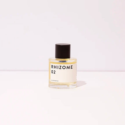 RHIZOME 02