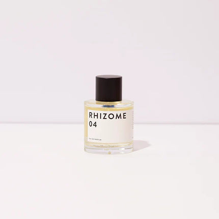 RHIZOME 04