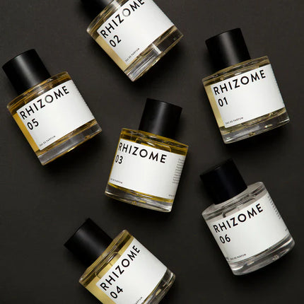RHIZOME 04