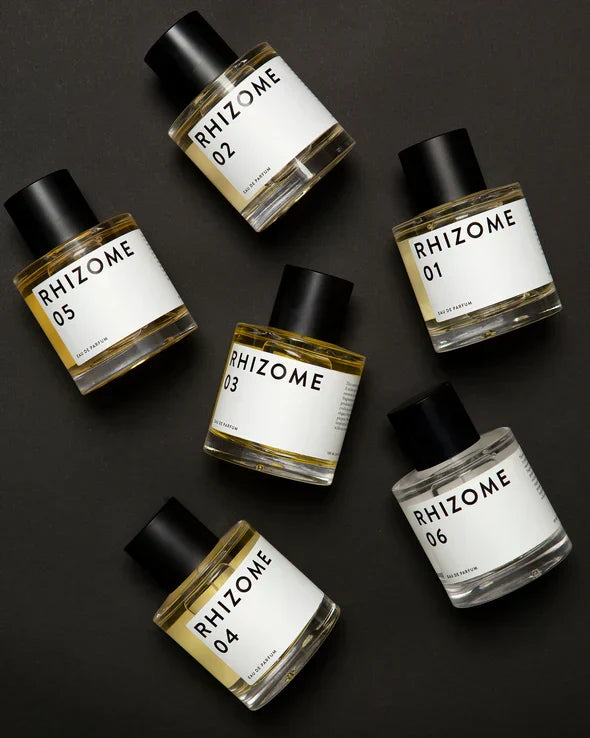 RHIZOME 04
