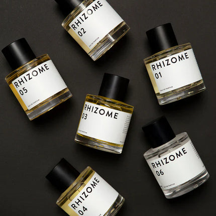 RHIZOME 06