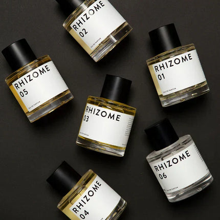 RHIZOME 06