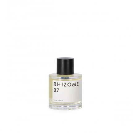 RHIZOME 07