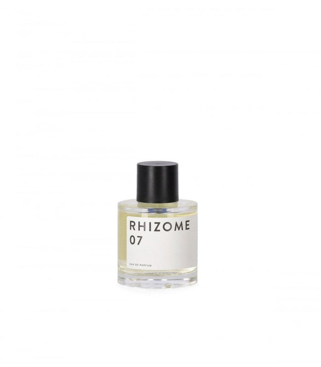 RHIZOME 07