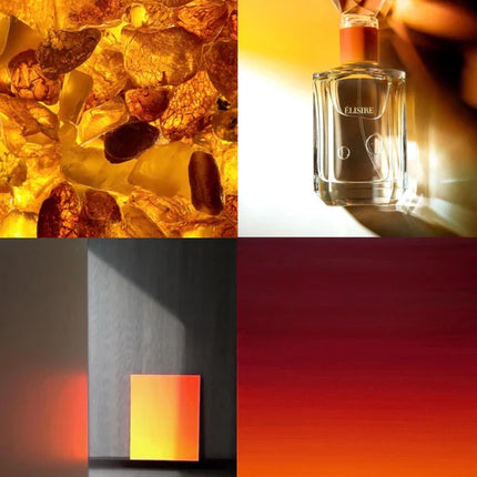 elisire ambre nomade