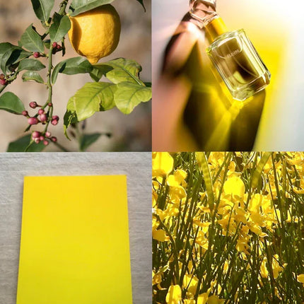 elisire eau papaguena