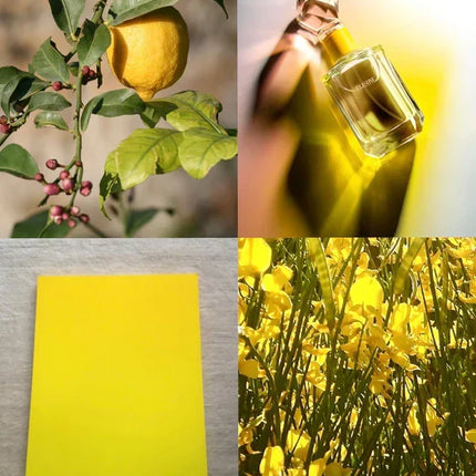elisire eau papaguena