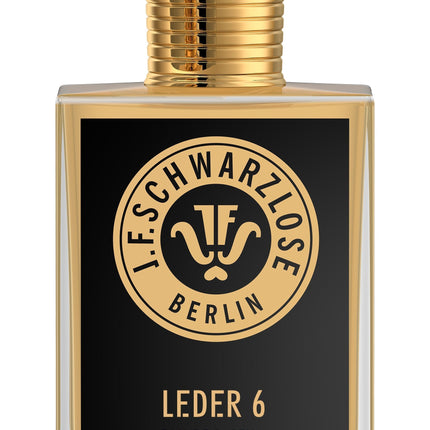LEDER 6