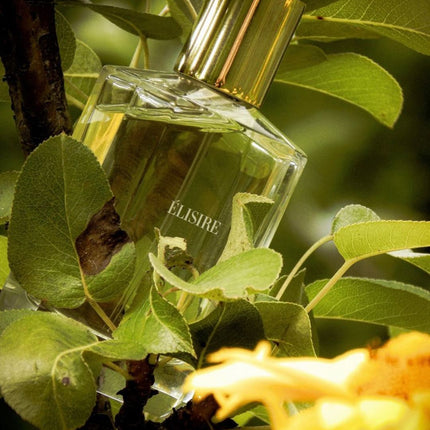 elisire eau papaguena