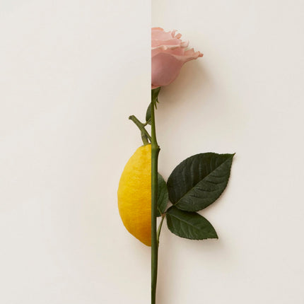 Rosa Limone