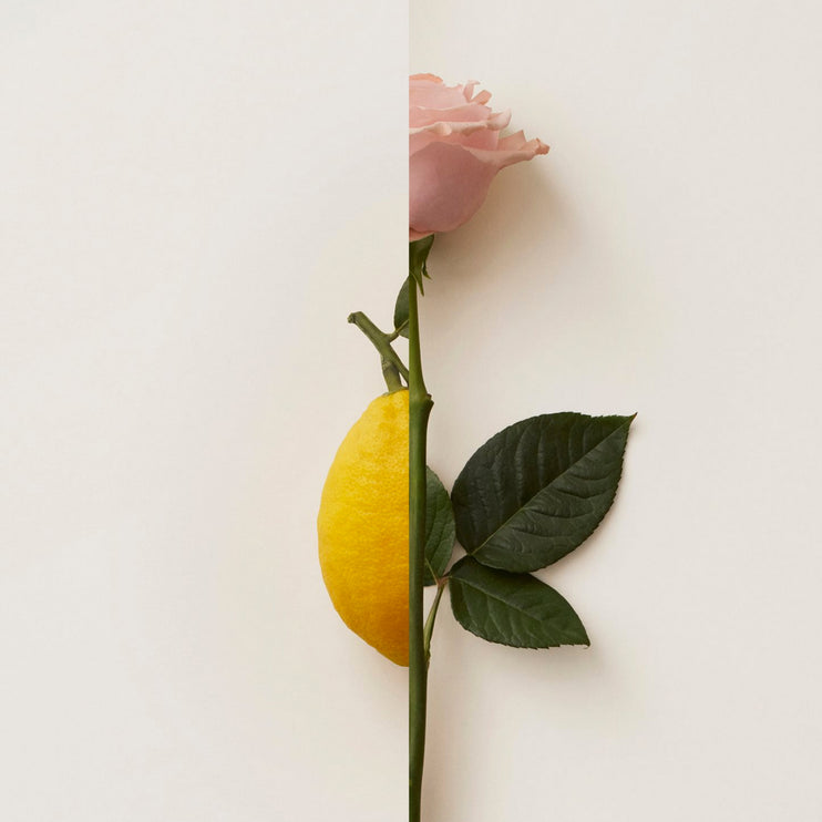 Rosa Limone